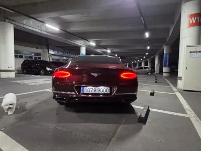 Bentley Continental 2019, 72500 км, за 142990000 KRW - фото 5