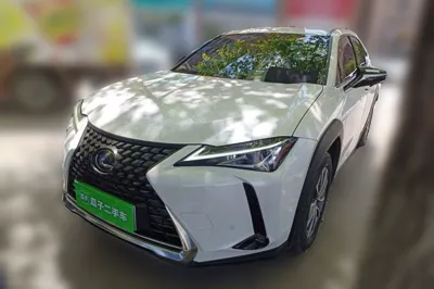 Lexus UX New Energy · 2020 год