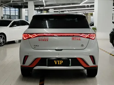 BYD Dolphin 2022, 27000 км, за 56800 CNY - фото 7