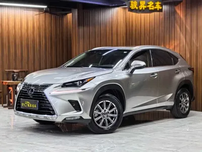 Lexus NX · 2018 год