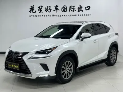 Lexus NX · 2020 год