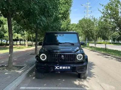 Mercedes-Benz G-Class · 2019 год