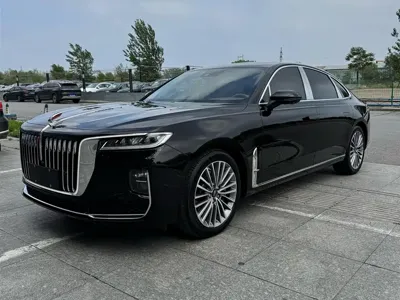 Hongqi Hongqi H9 · 2024 год