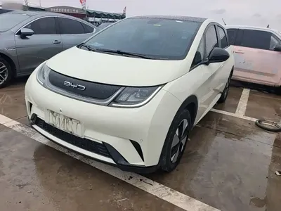 BYD Dolphin · 2023 год