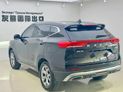 Haval H6 2022, 48000 км, за 69800 CNY - фото 6