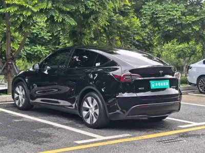 Tesla Model Y 2022, 78000 км, за 149800 CNY - фото 7