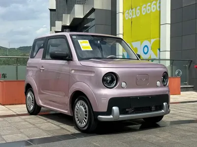 Rayleigh 睿蓝蓝气球 2026, 100 км, за 35800 CNY
