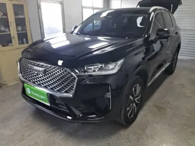Haval H6 · 2022 год