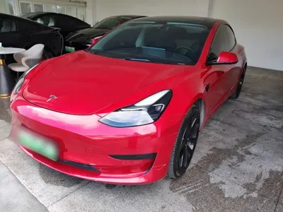 Tesla Model 3 · 2021 год