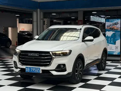 Haval H6 · 2022 год