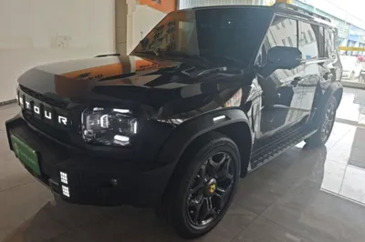 JETOUR Shanhai Traveler C-DM · 2024 год