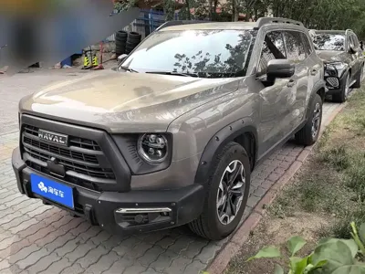 Haval Big Dog · 2024 год