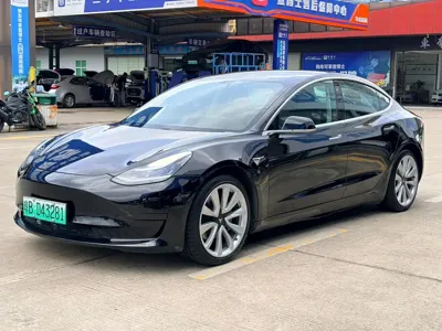 Tesla Model 3 · 2021 год