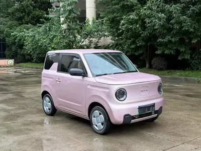 Galaxy Panda · 2023 год