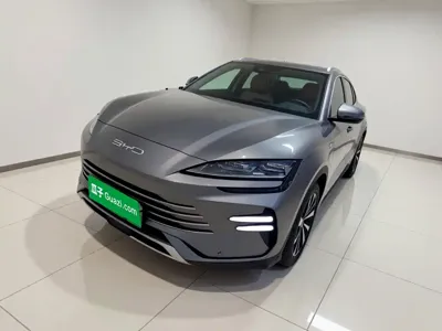 BYD PLUS New Energy · 2023 год