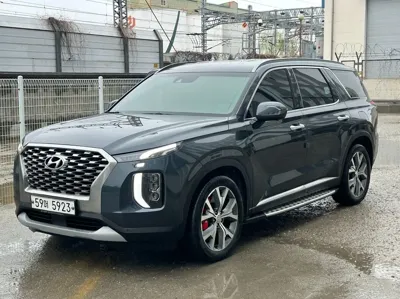 Hyundai Palisade 2019, 132133 км, за 18990000 KRW