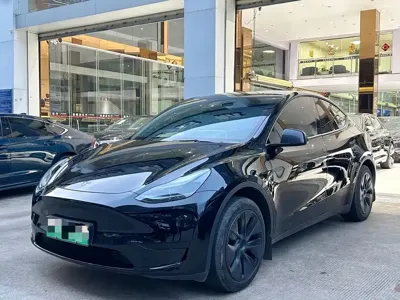 Tesla Model Y · 2024 год