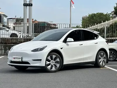 Tesla Model Y · 2022 год