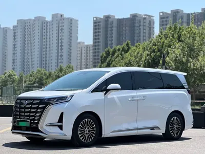 Denza Denza D9 · 2023 год