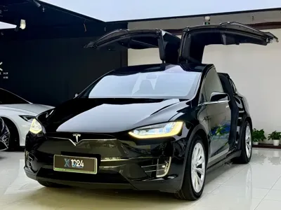 Tesla Model X · 2019 год