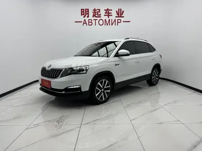 Skoda Kamiq · 2024 год