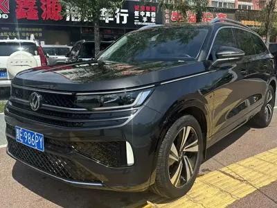 Volkswagen Tavendor · 2024 год