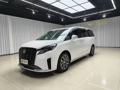 Buick GL8 · 2024 год
