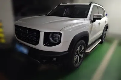 Haval Dargo · 2021 год