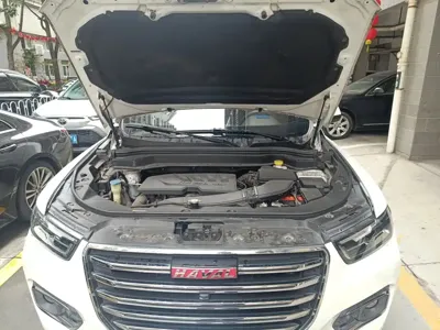 Haval H6 2018, 35800 км, за 47000 CNY - фото 11