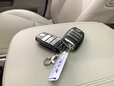 Kia Canival 2019, 95704 км, за 17200000 KRW - фото 19