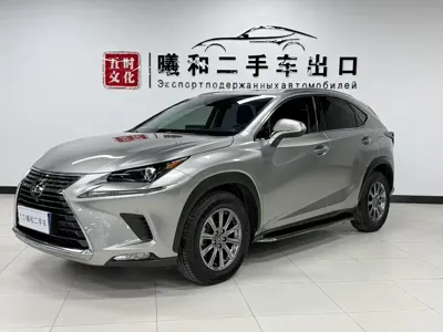 Lexus NX · 2019 год