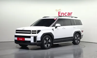 Hyundai Santafe · 2024 год