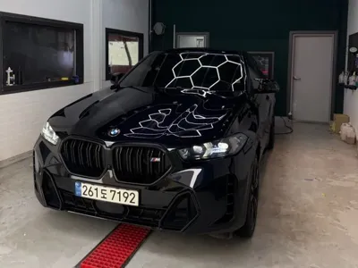 BMW X6 · 2024 год