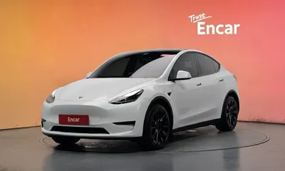Tesla Model Y · 2023 год