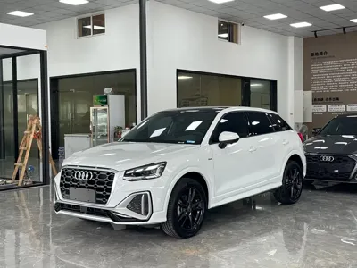 Audi Q2L · 2023 год