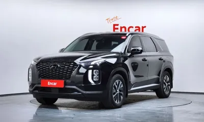 Hyundai Palisade · 2020 год