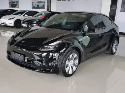 Tesla Model Y · 2022 год
