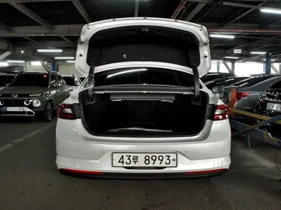 Renault-KoreaSamsung SM6 2019, 94000 км, за 7300000 KRW - фото 18