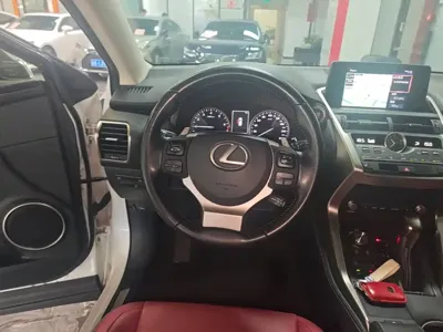 Lexus NX 2019, 72100 км, за 142400 CNY - фото 11