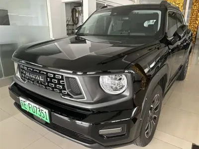 Haval 哈弗大狗 PLUS 新能源 · 2023 год