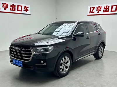 Haval H6 · 2022 год