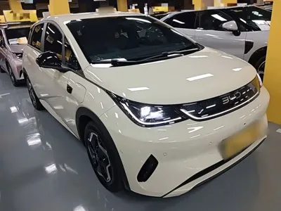 BYD Dolphin 2025, 16700 км, за 76200 CNY