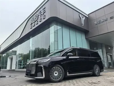 Voyah Dreamer · 2024 год