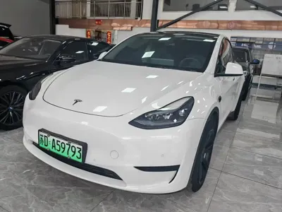 Tesla Model Y · 2023 год