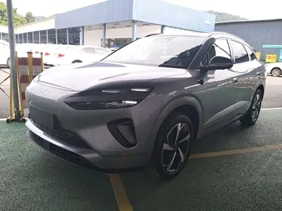 BYD 海狮06 · 2026 год