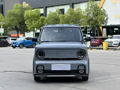Galaxy Panda 2024, 24000 км, за 28800 CNY