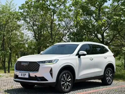 Haval H6 · 2024 год