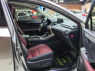 Lexus NX 2018, 90000 км, за 123600 CNY - фото 11