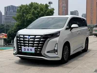Denza Denza D9 · 2023 год
