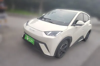BYD Seagull · 2023 год